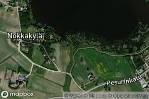 Pesurinoja