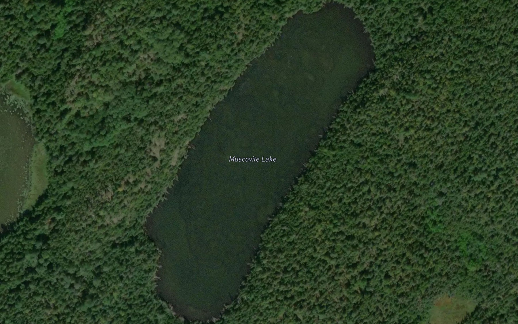 Satellite map of the Muscovite Lake