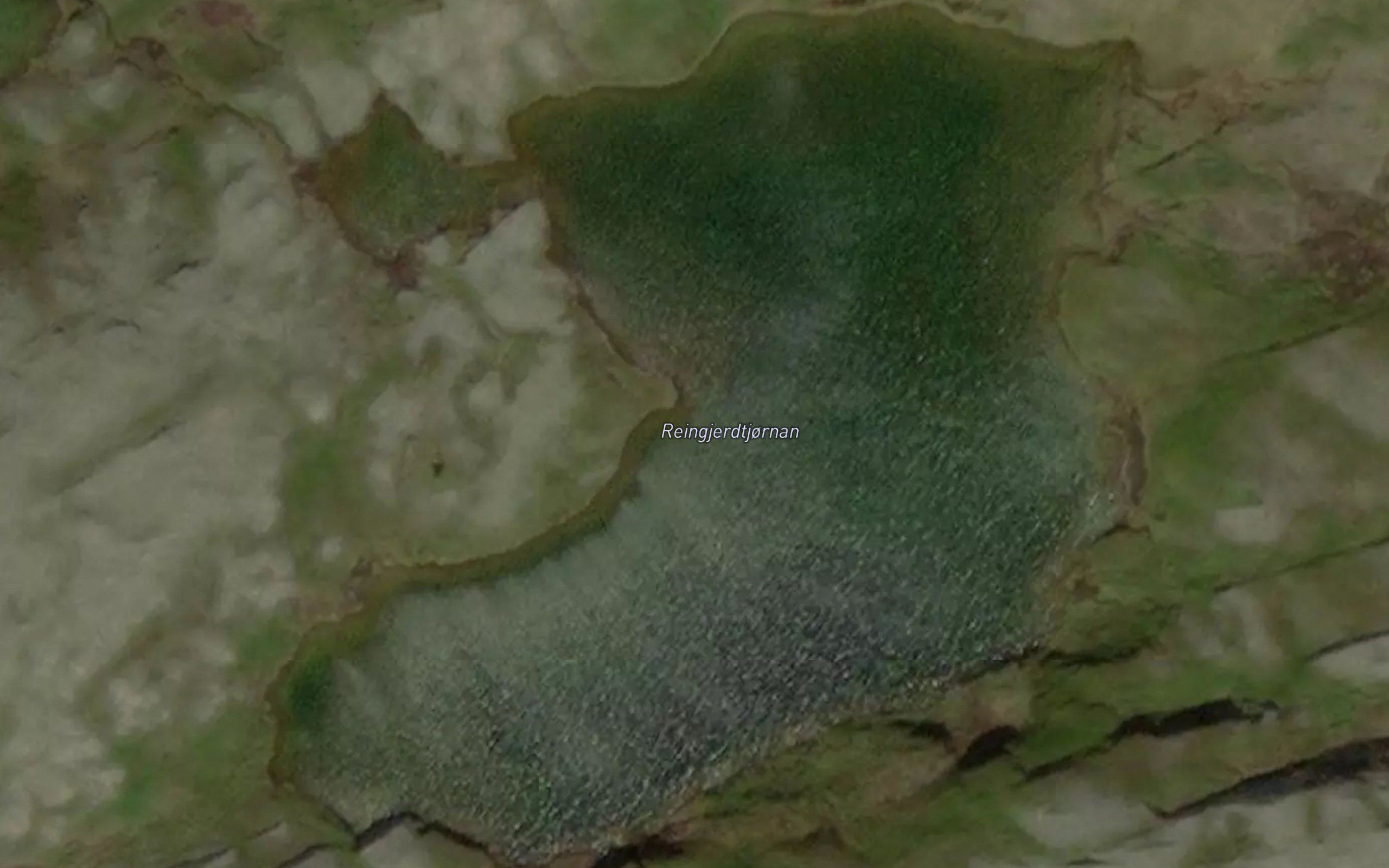 Reingjerdtjornan