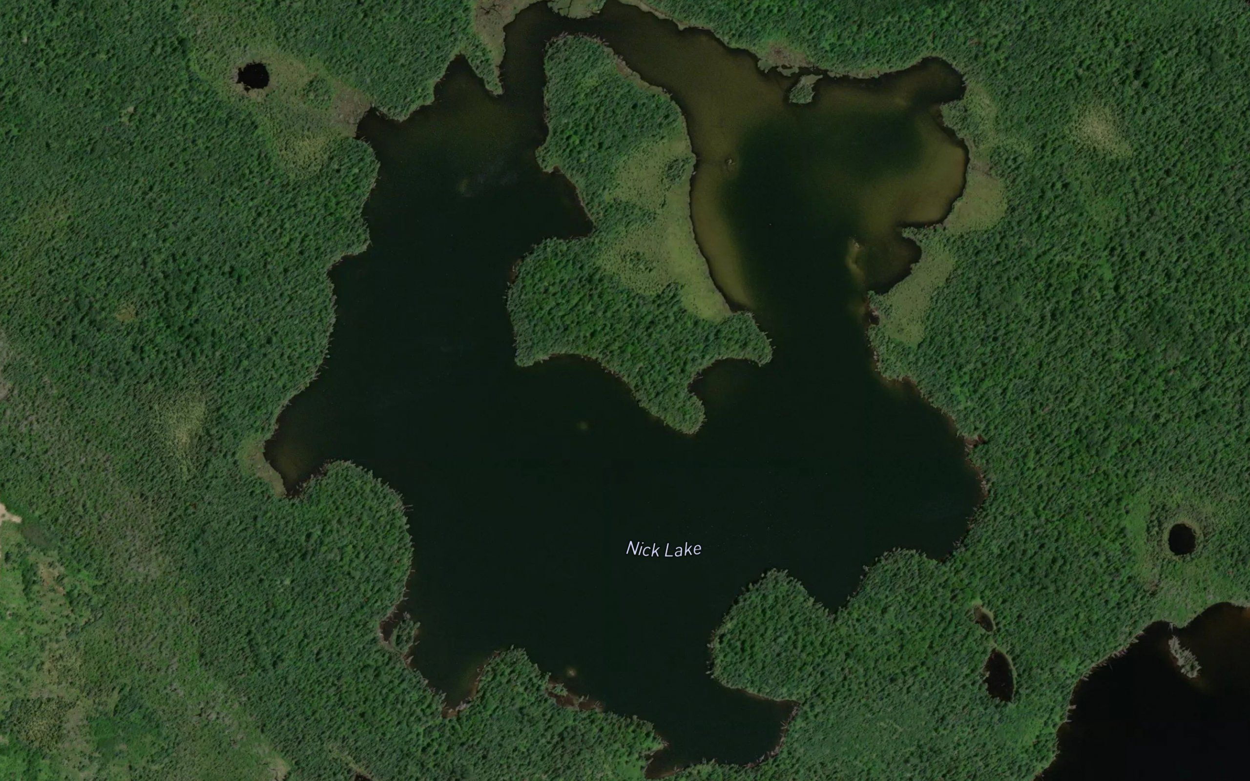 Nick Lake