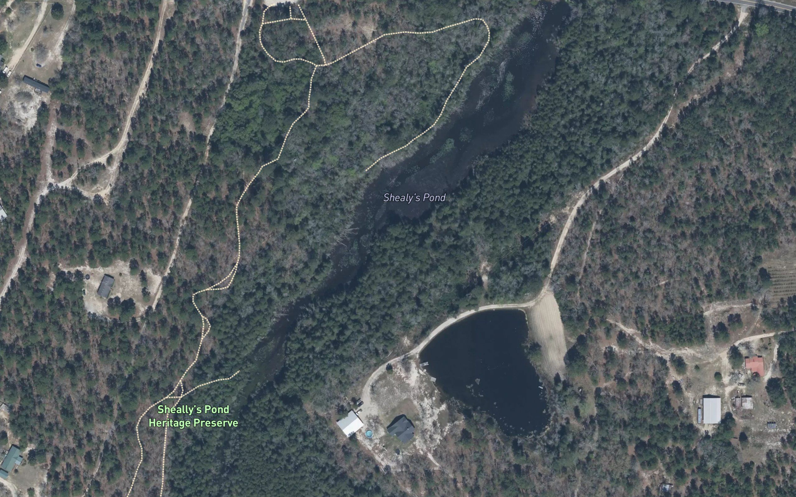 Shealy Pond