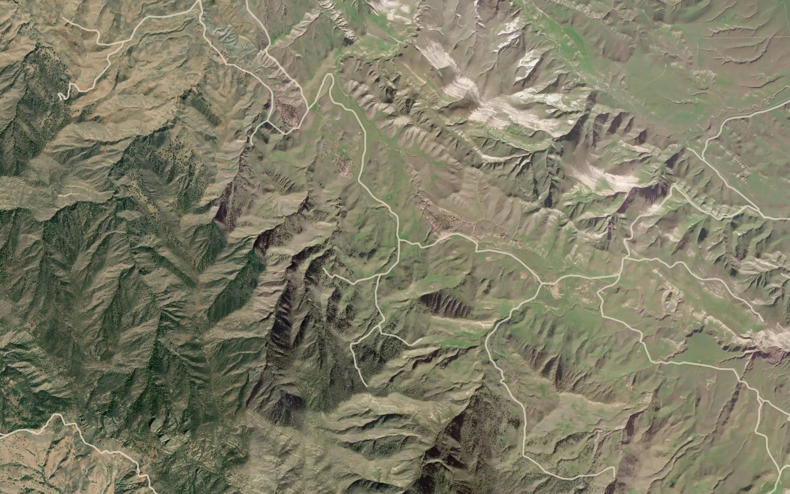Martinez Spring