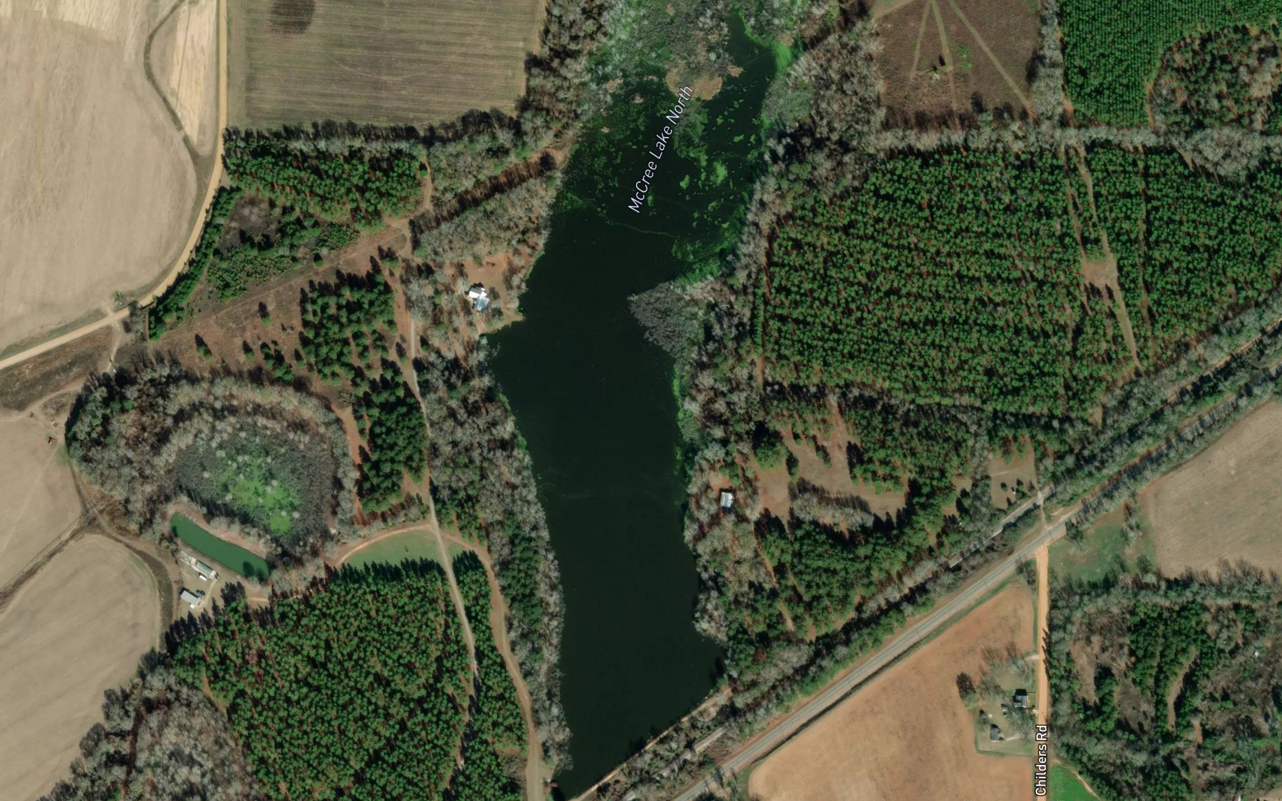 McCree Lake North