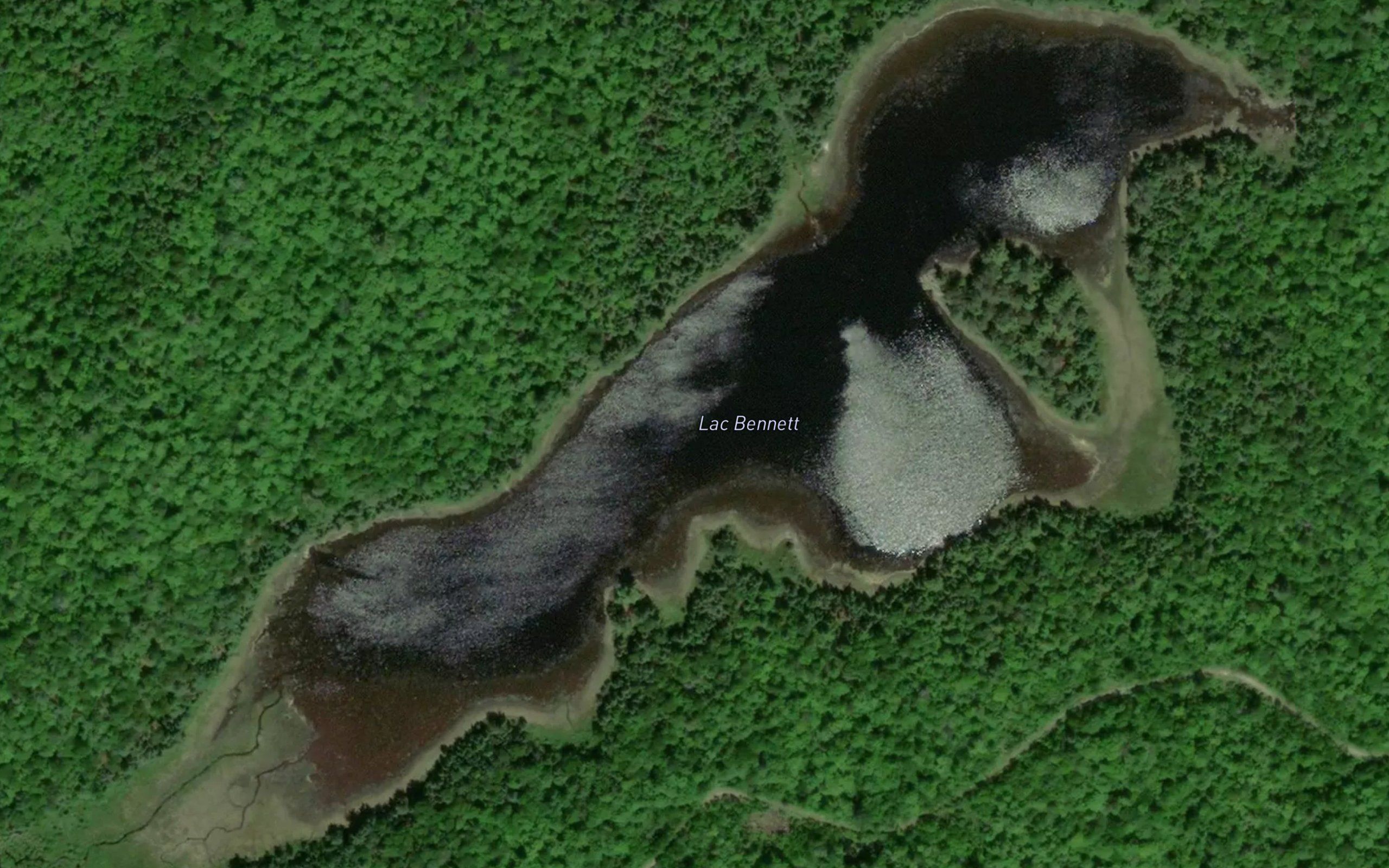 Lac Bennett