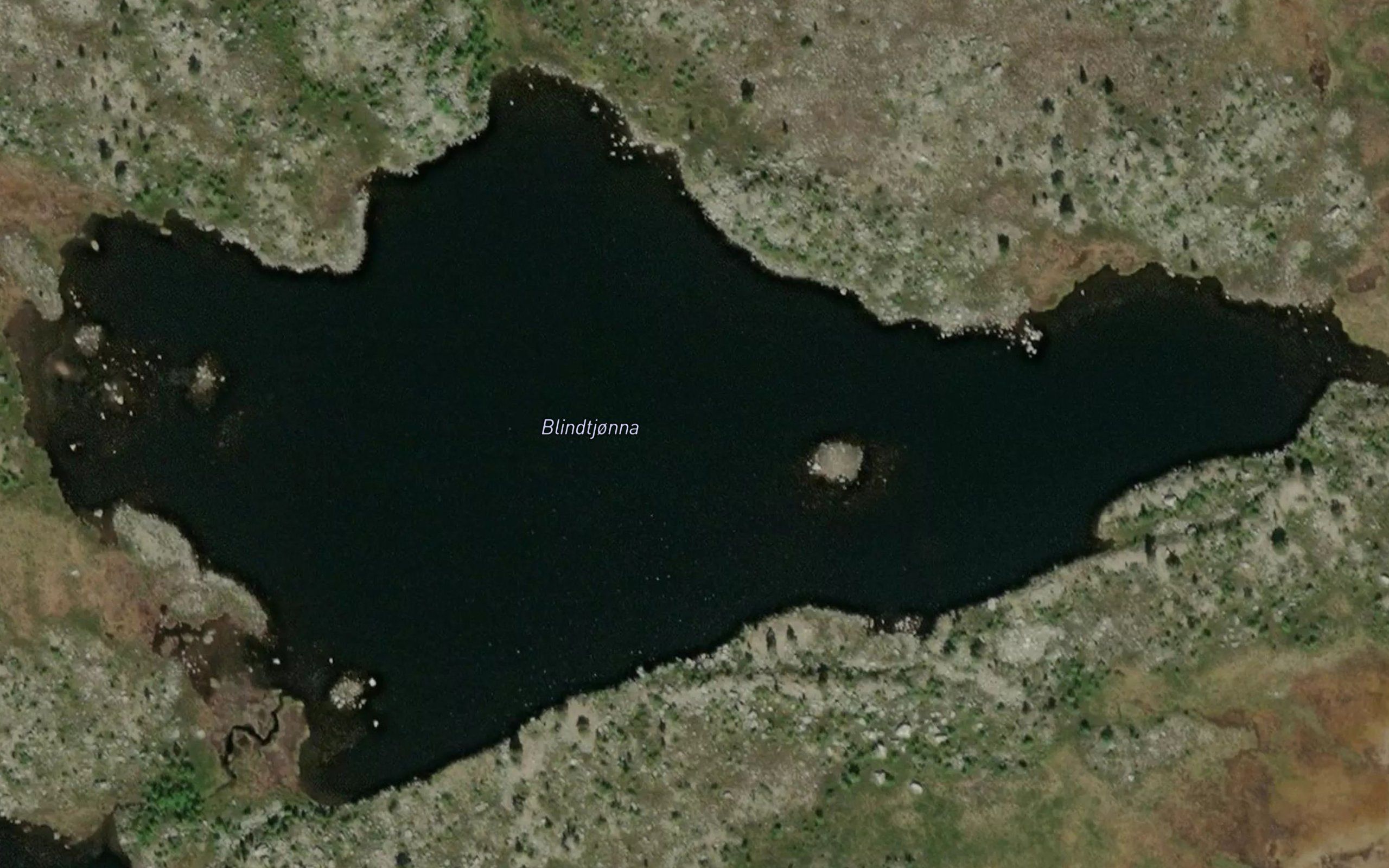 Blindtjorna