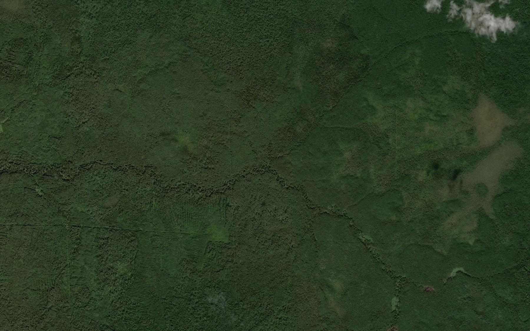 Satellite map of the Bol'shaya Vona