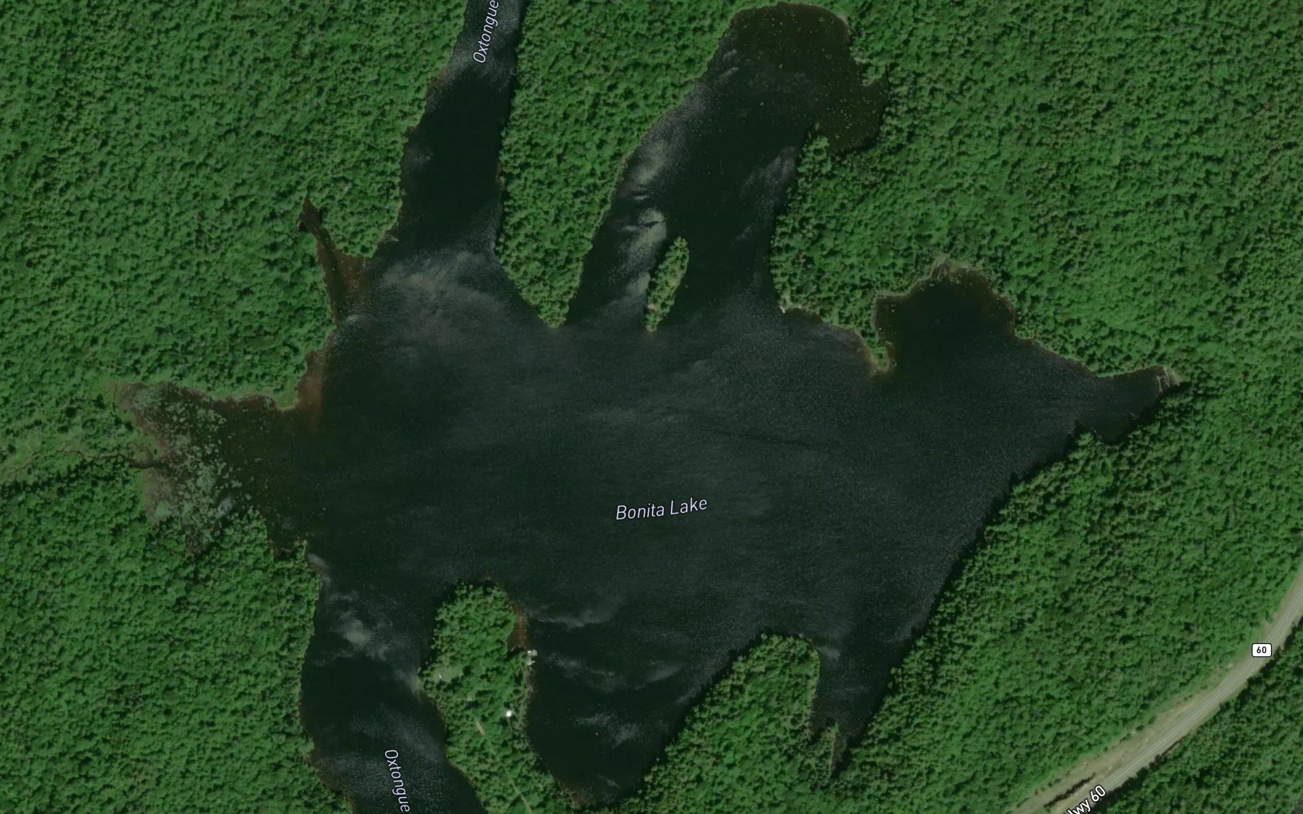 Bonita Lake