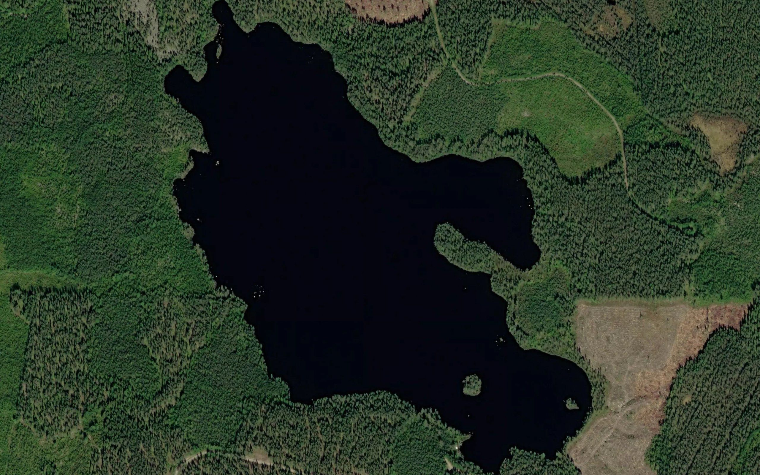 Pieni Mantylampi