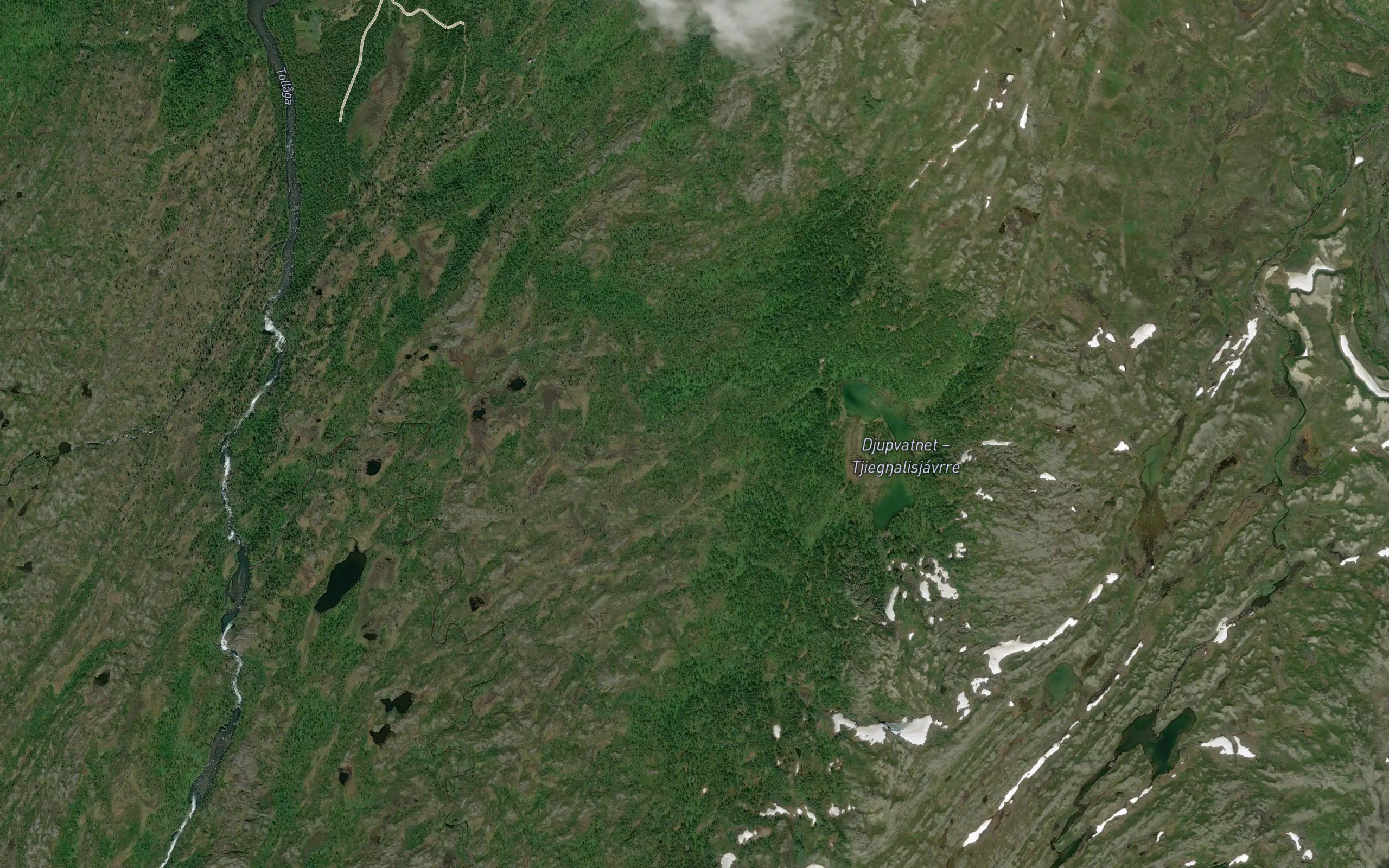 Djupvasselva