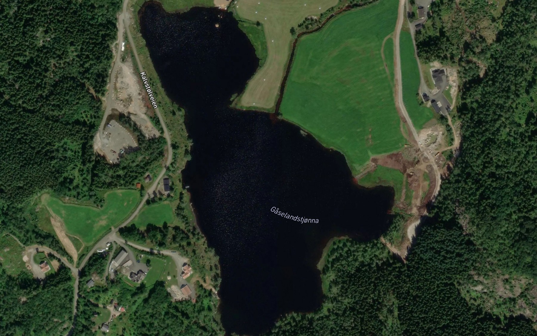 Satellite map of the Gaselandstjonna