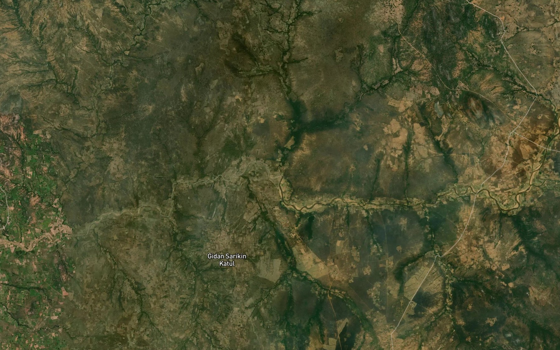 Satellite map of the River Gwalisimi