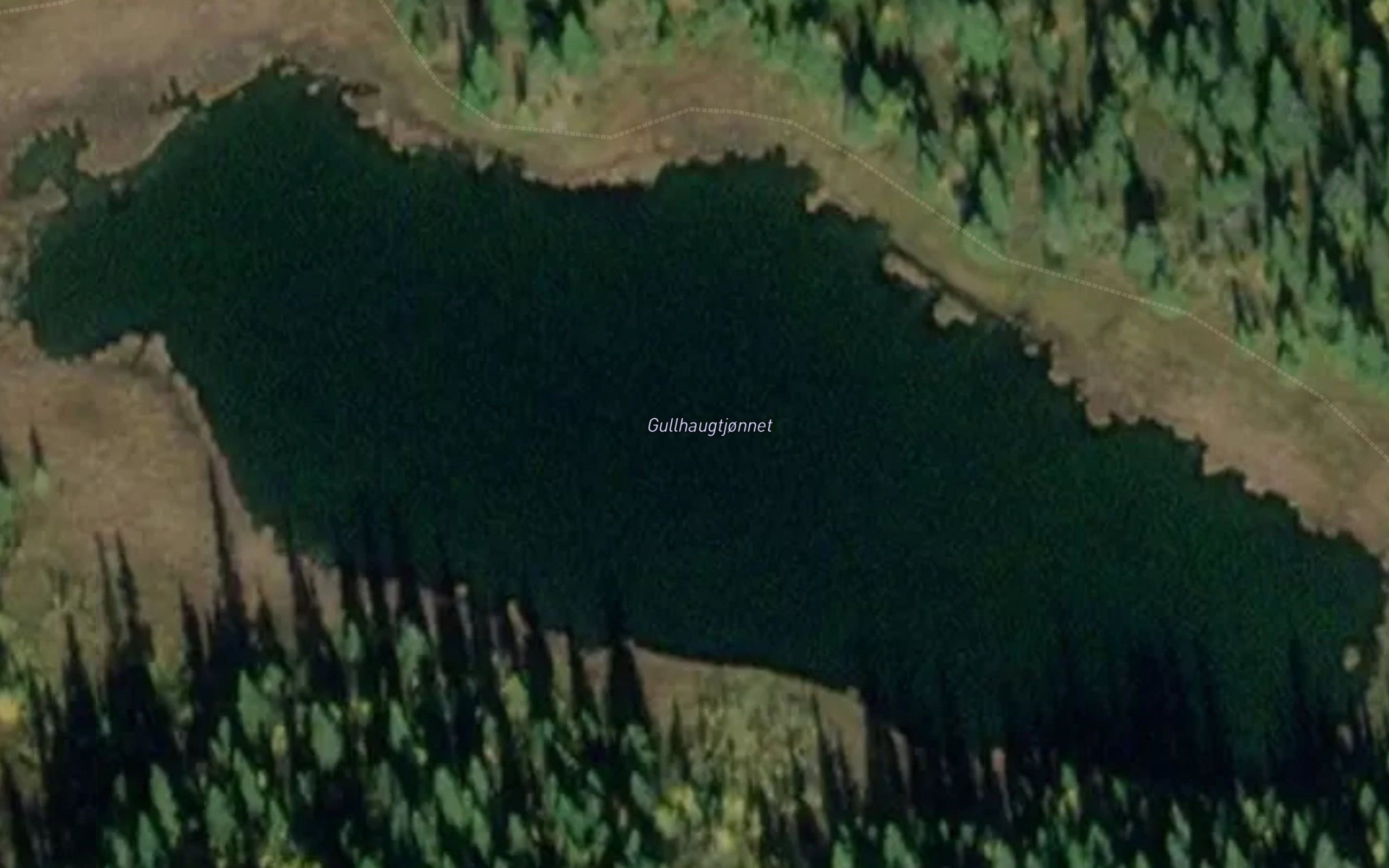 Gullhaugtjonnet