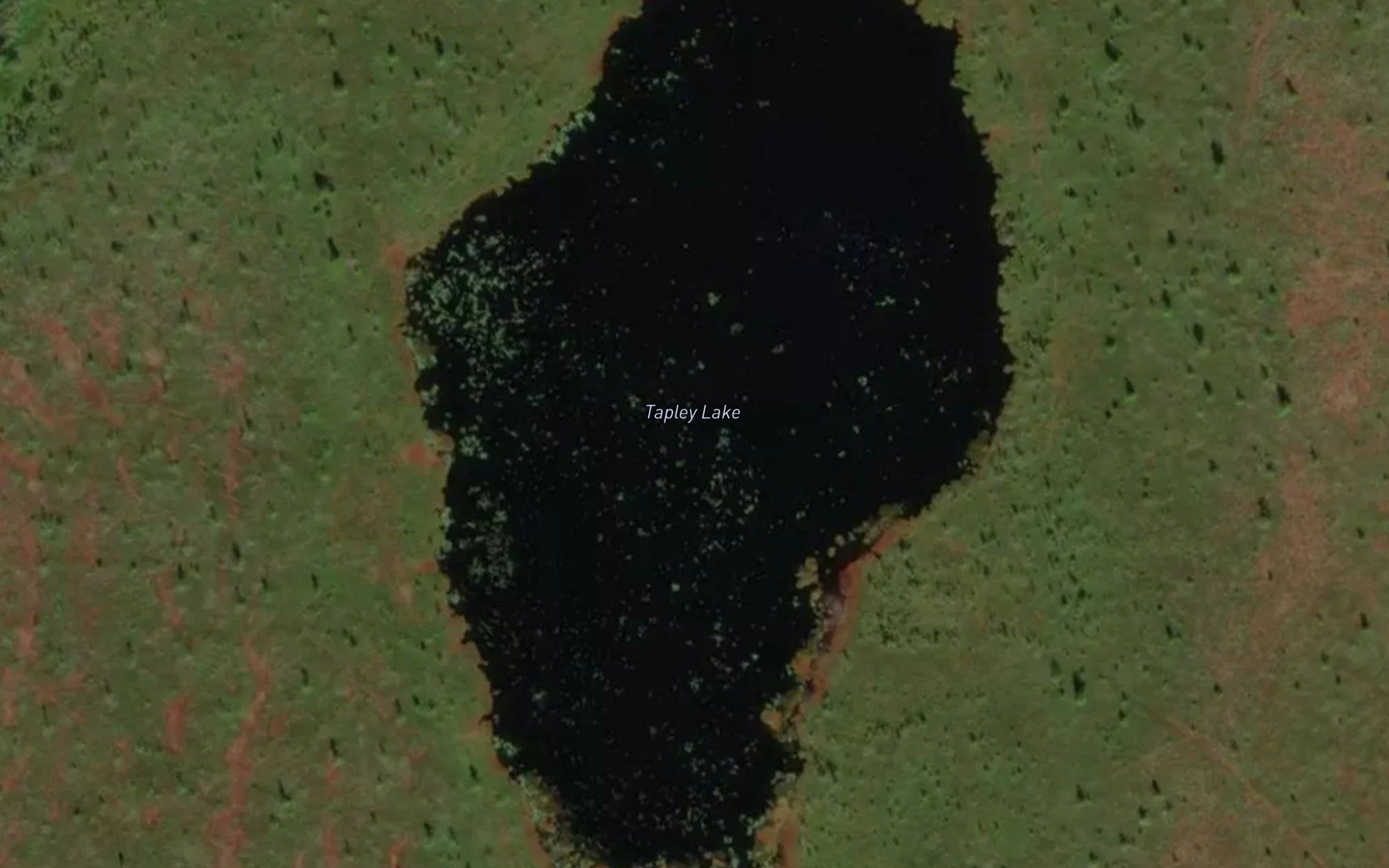Tapley Lake