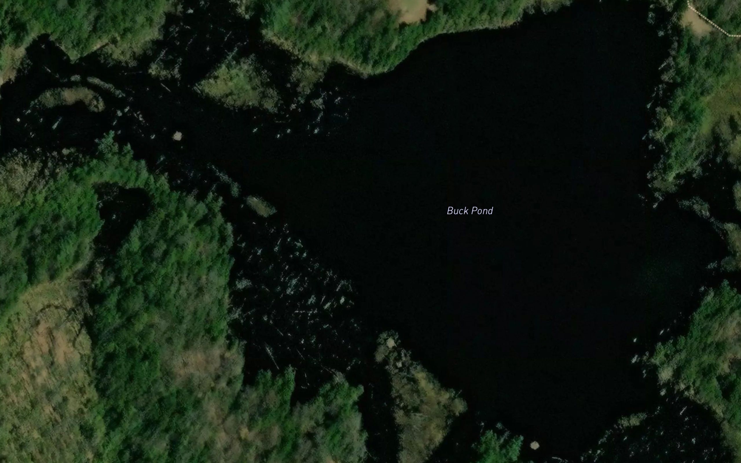 Buck Pond