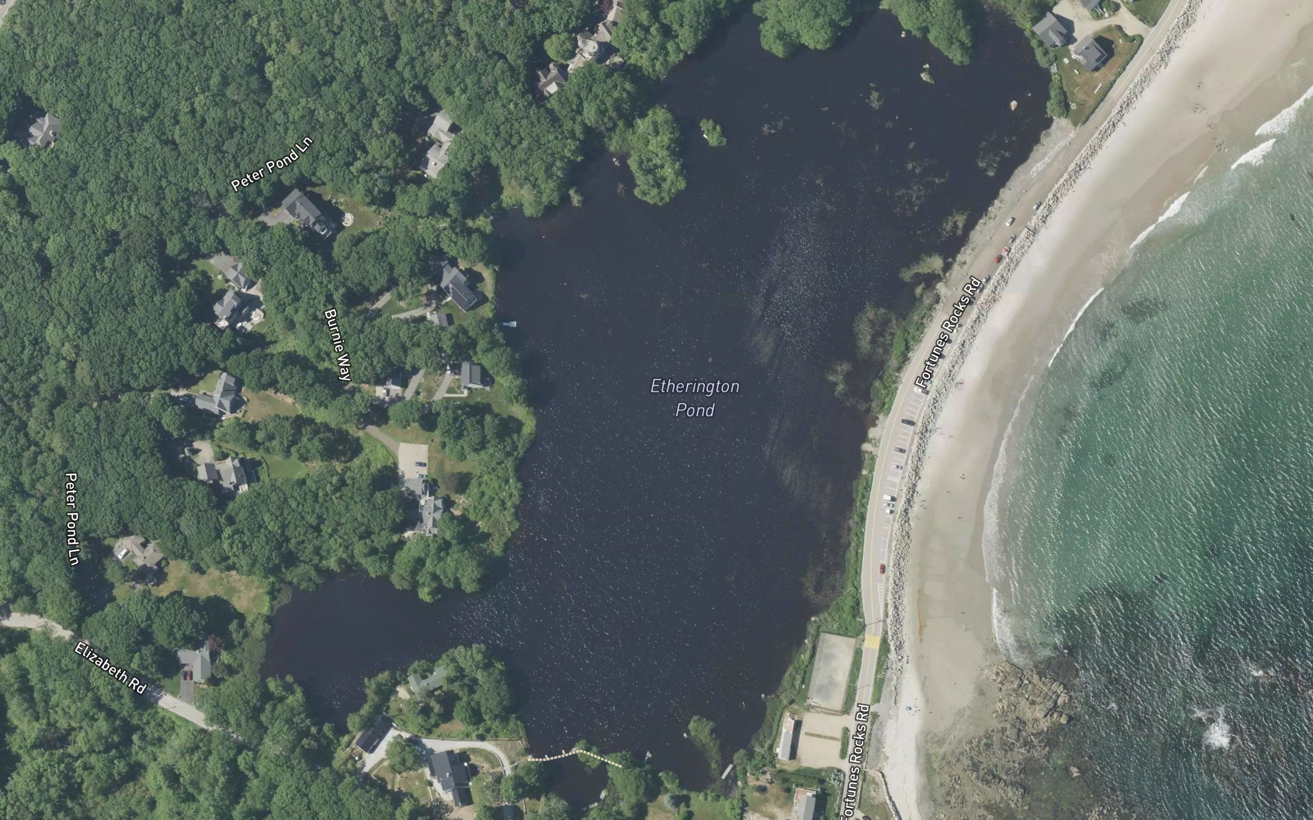 Etherington Pond