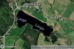 Laugen