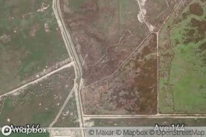 Old Channel Tule River