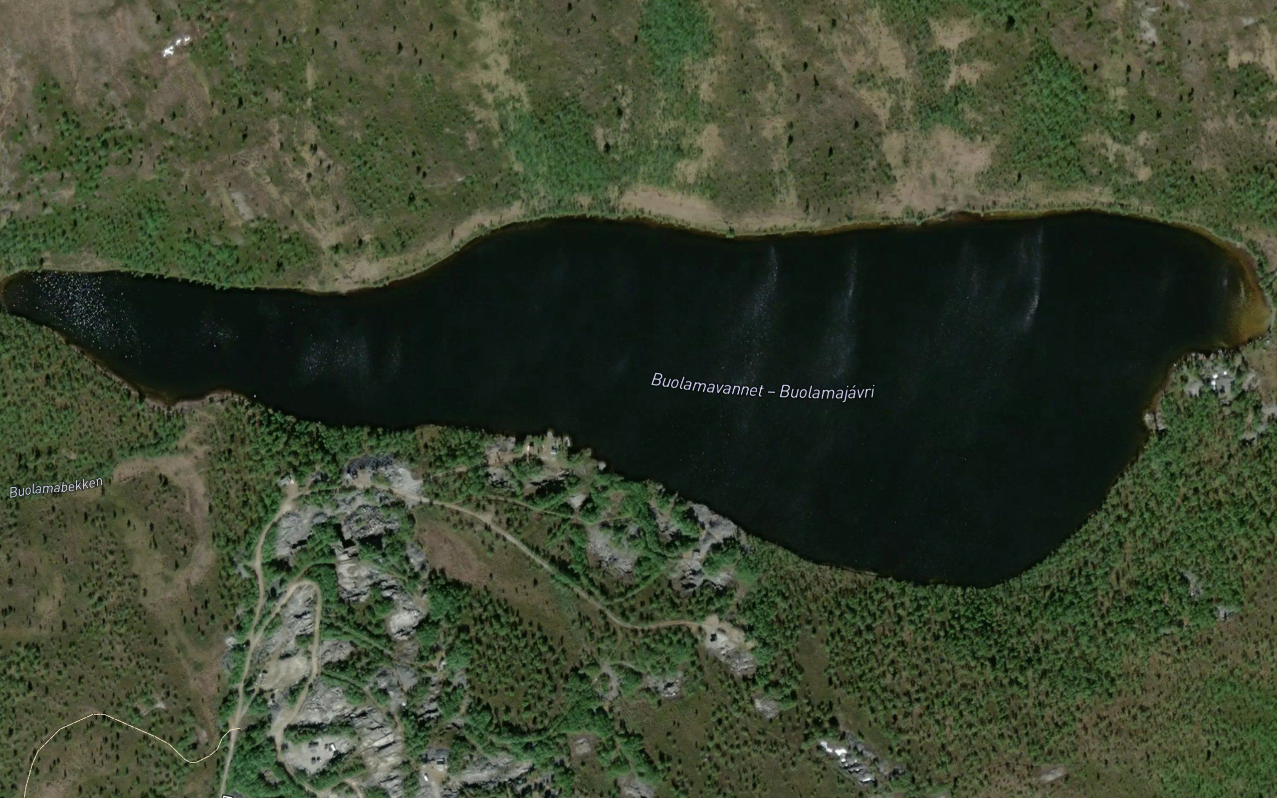 Buolamajavri