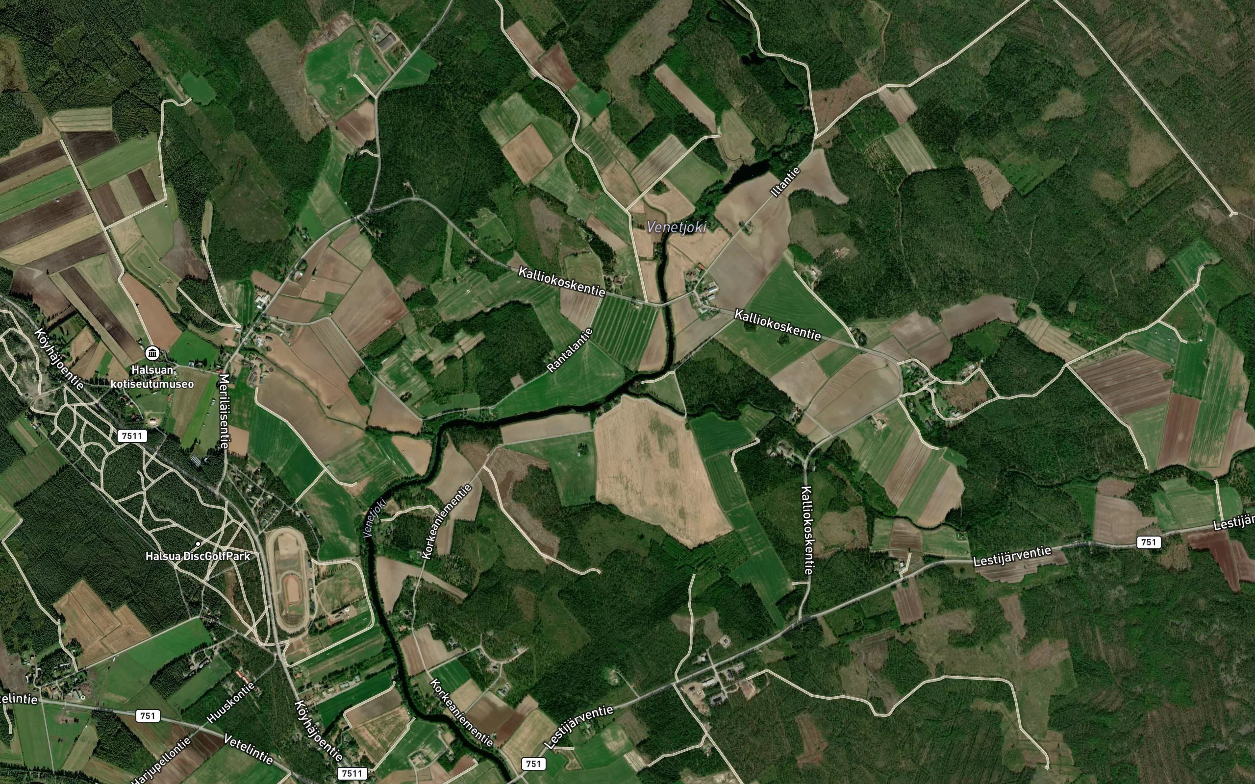 Kivioja