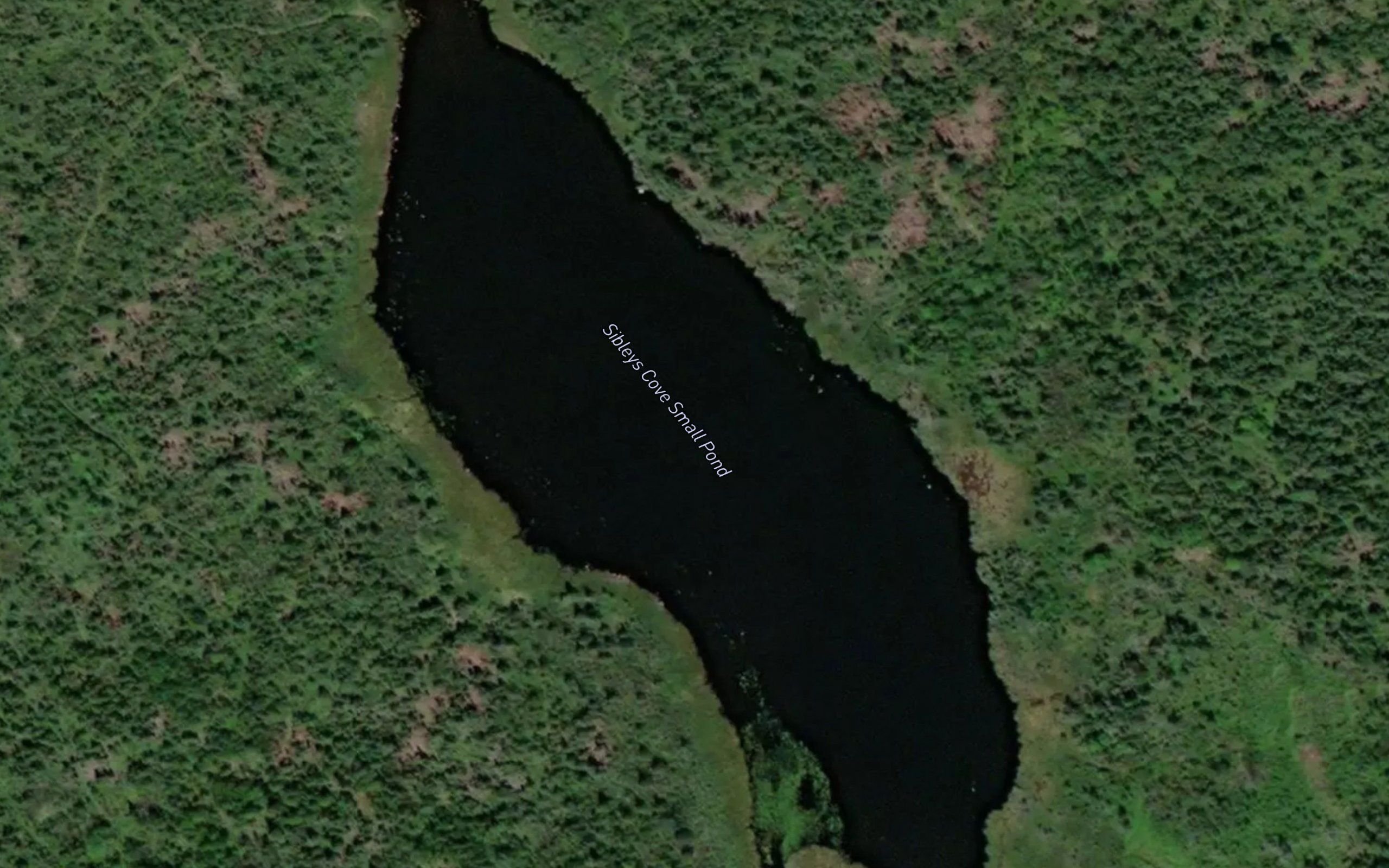 Sibleys Cove Small Pond