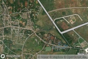 Distributary Number Nine