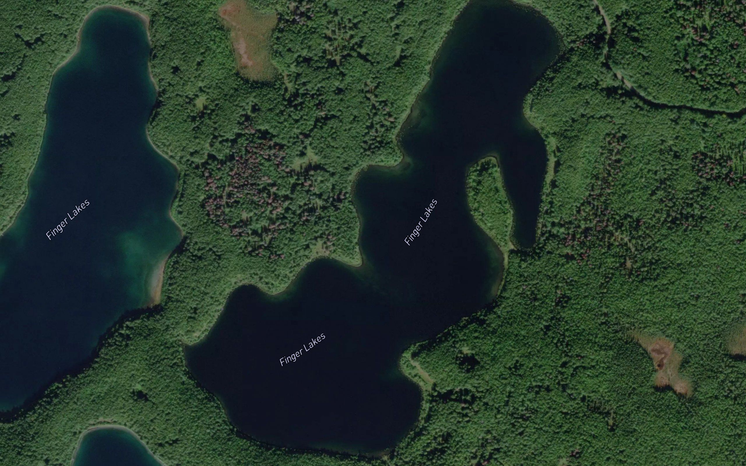 East Finger Lake