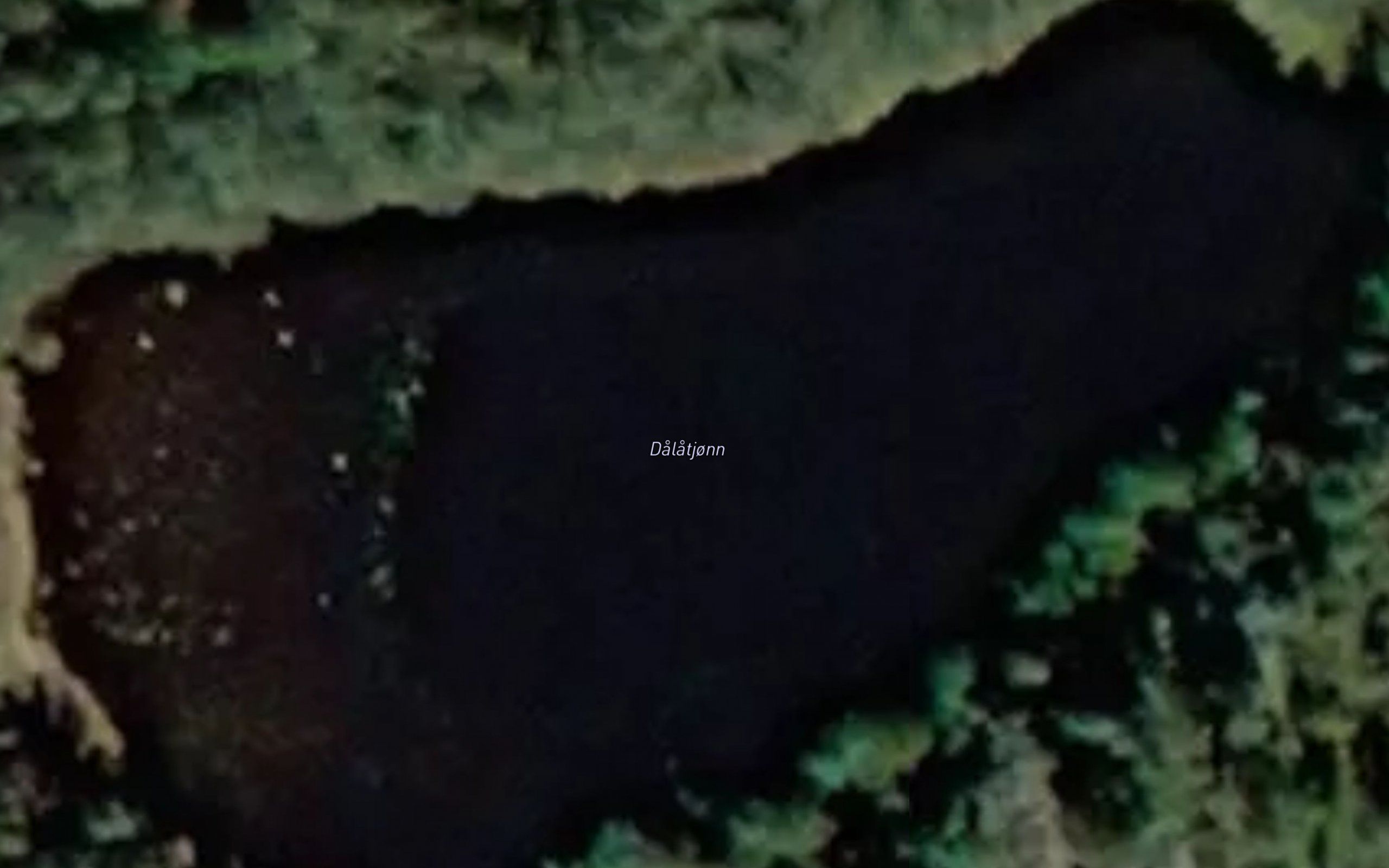Dalatjonn