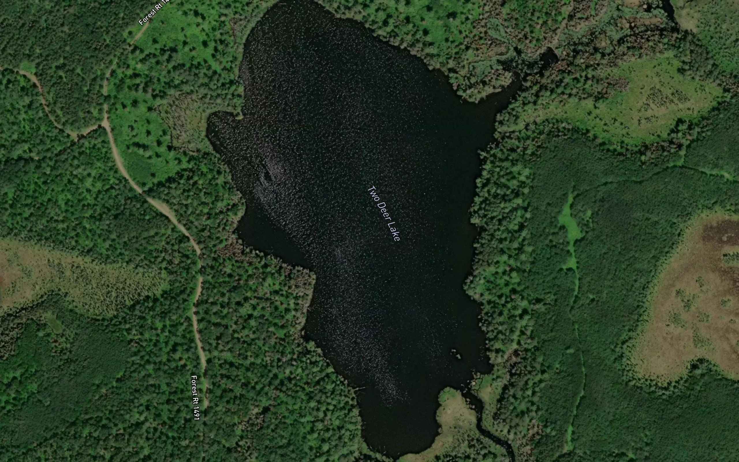 Two Deer Lake