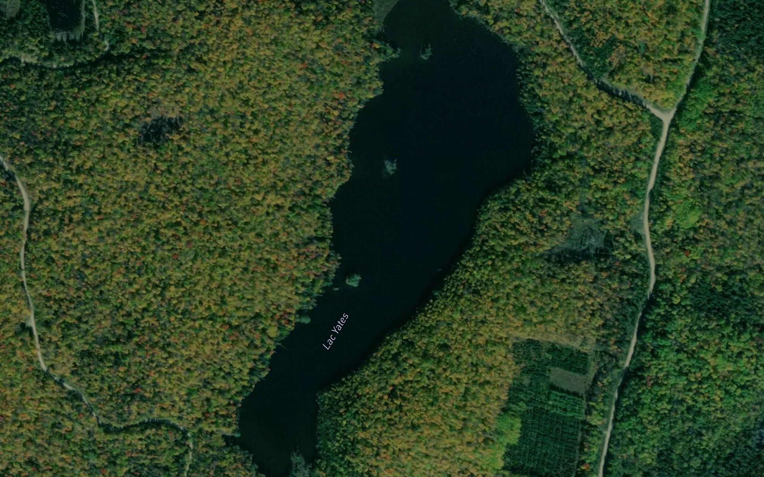 Lac Yates