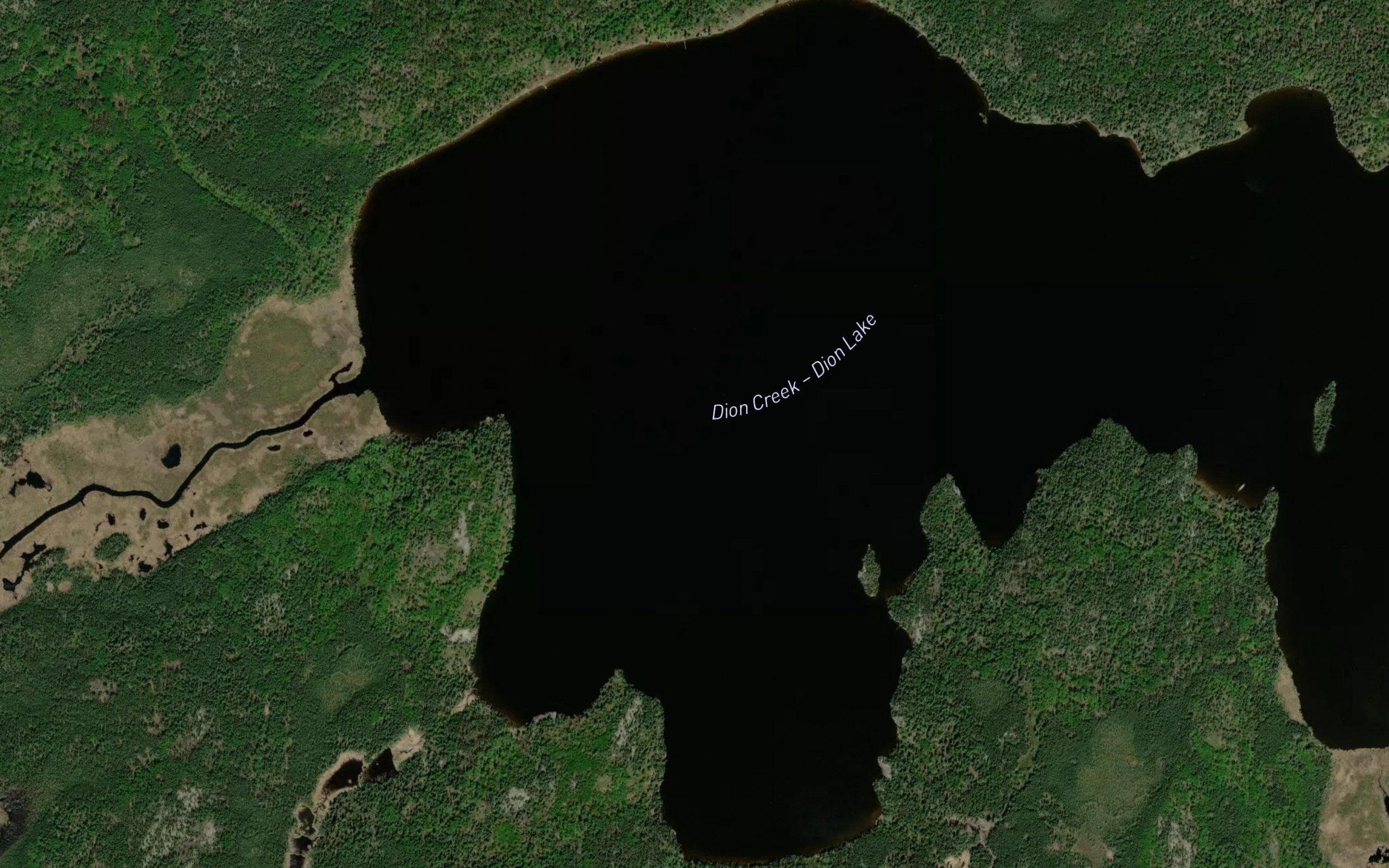 Dion Lake