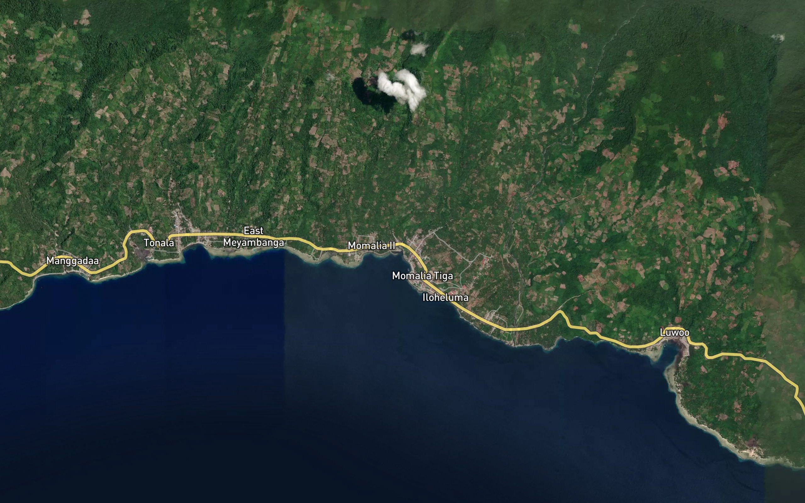Dutula Longo