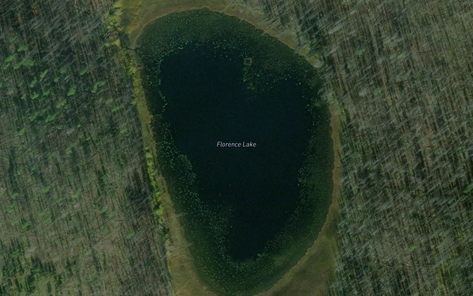 Satellite map of the Florence Lake
