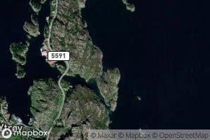 Jaktevika