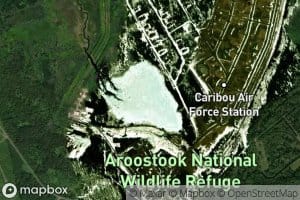 Butterfield Brook Pond