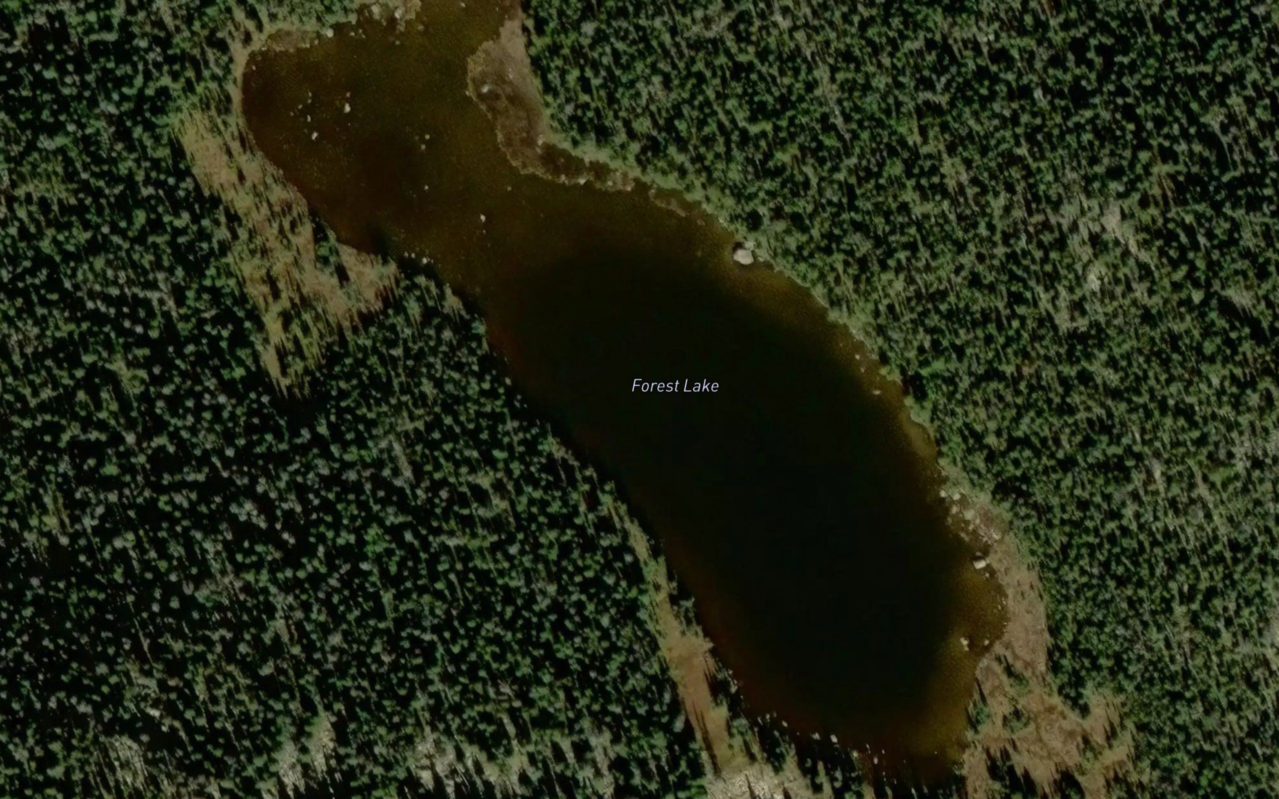 Forest Lake