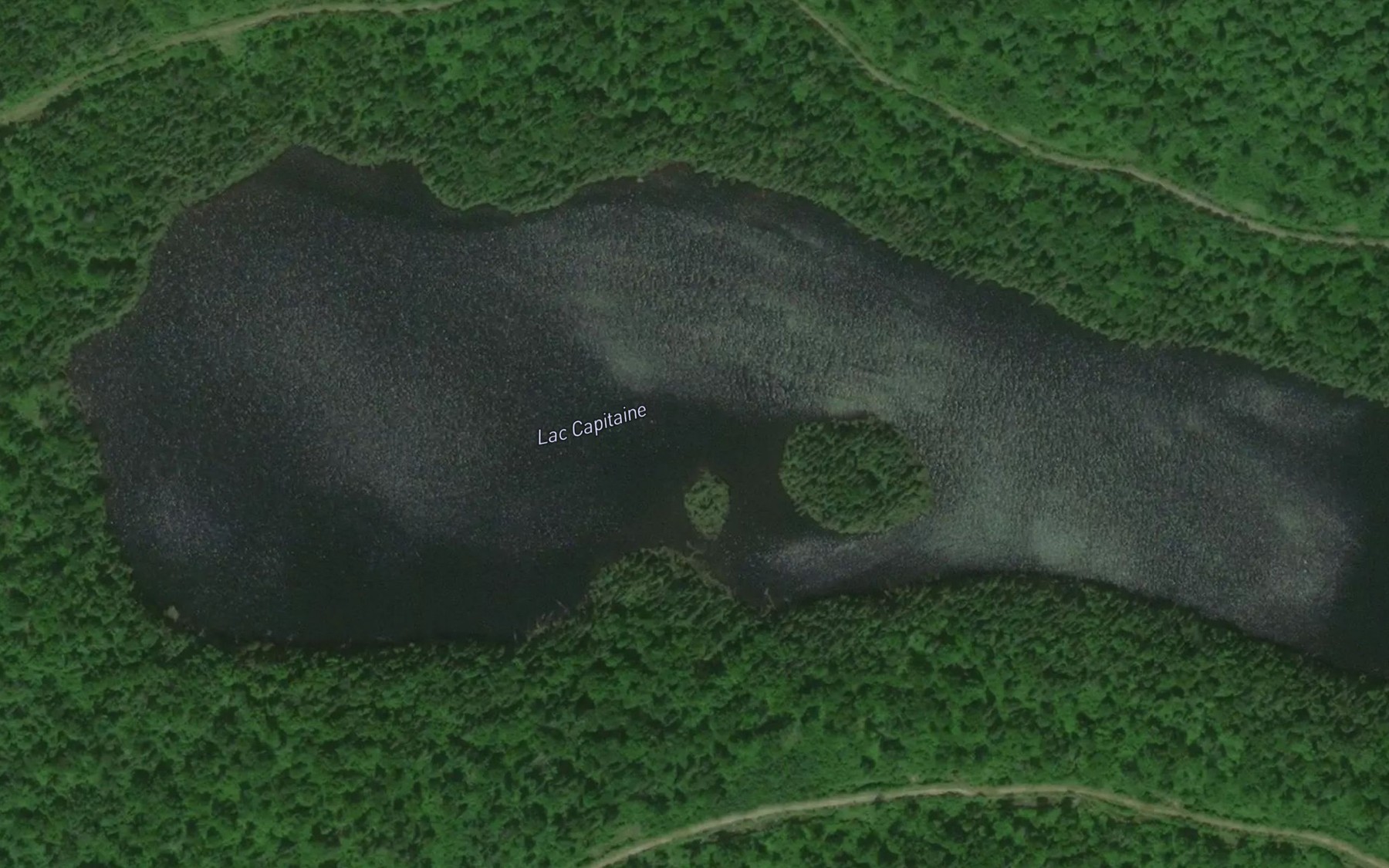 Satellite map of the Lac Capitaine