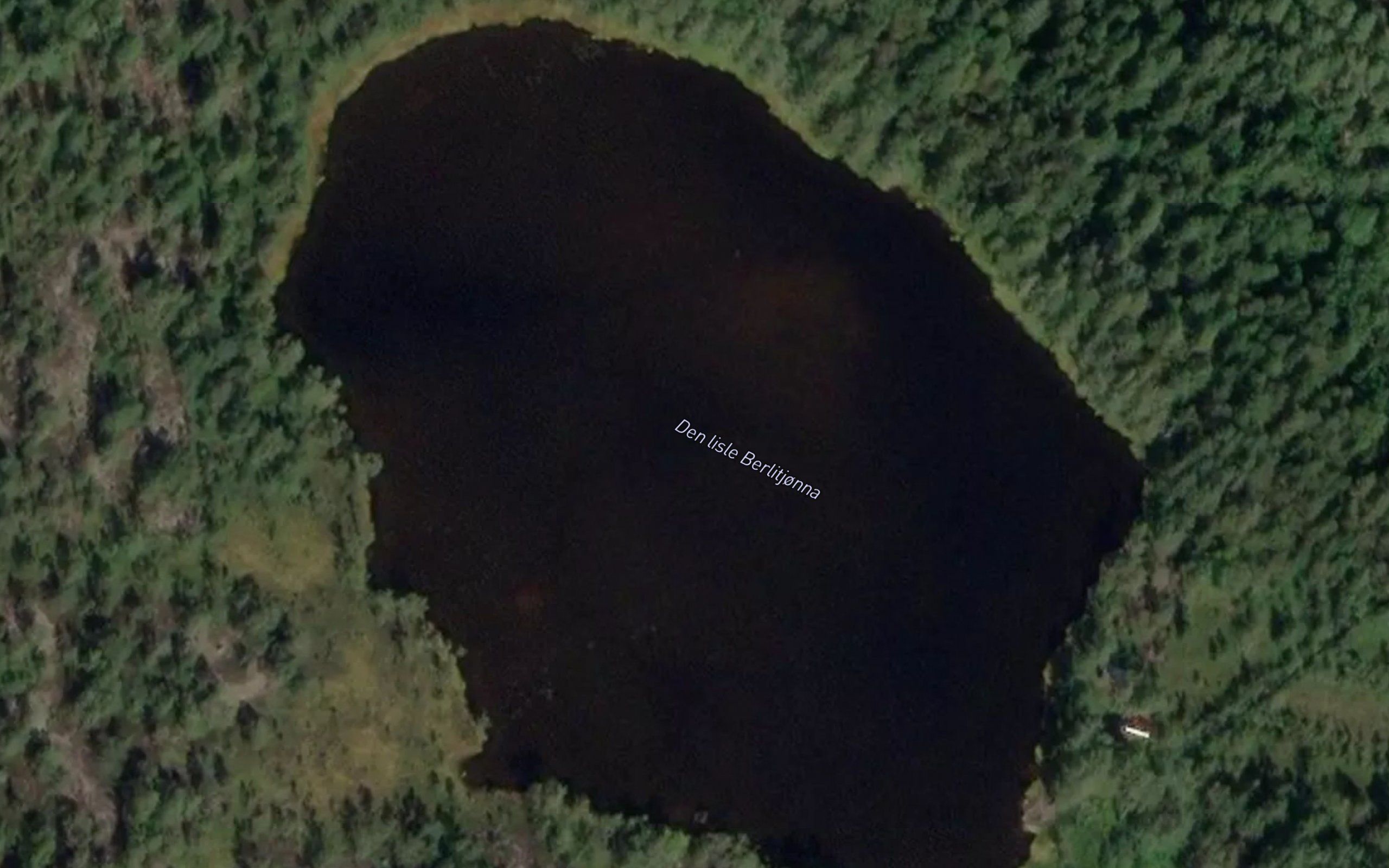 Den lisle Berlitjonna
