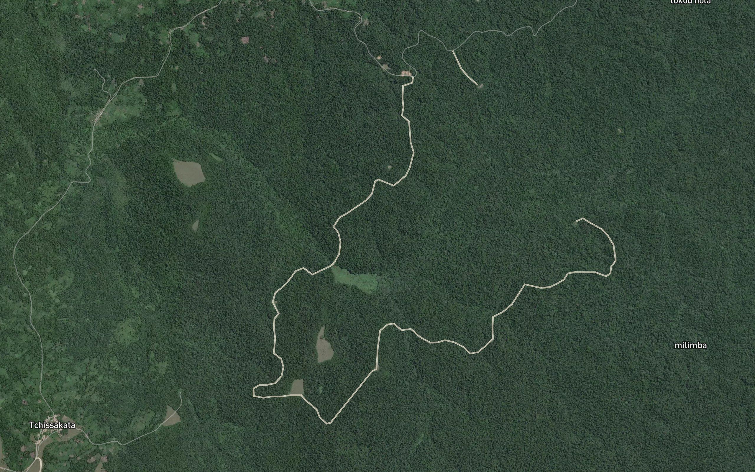 Tchimani
