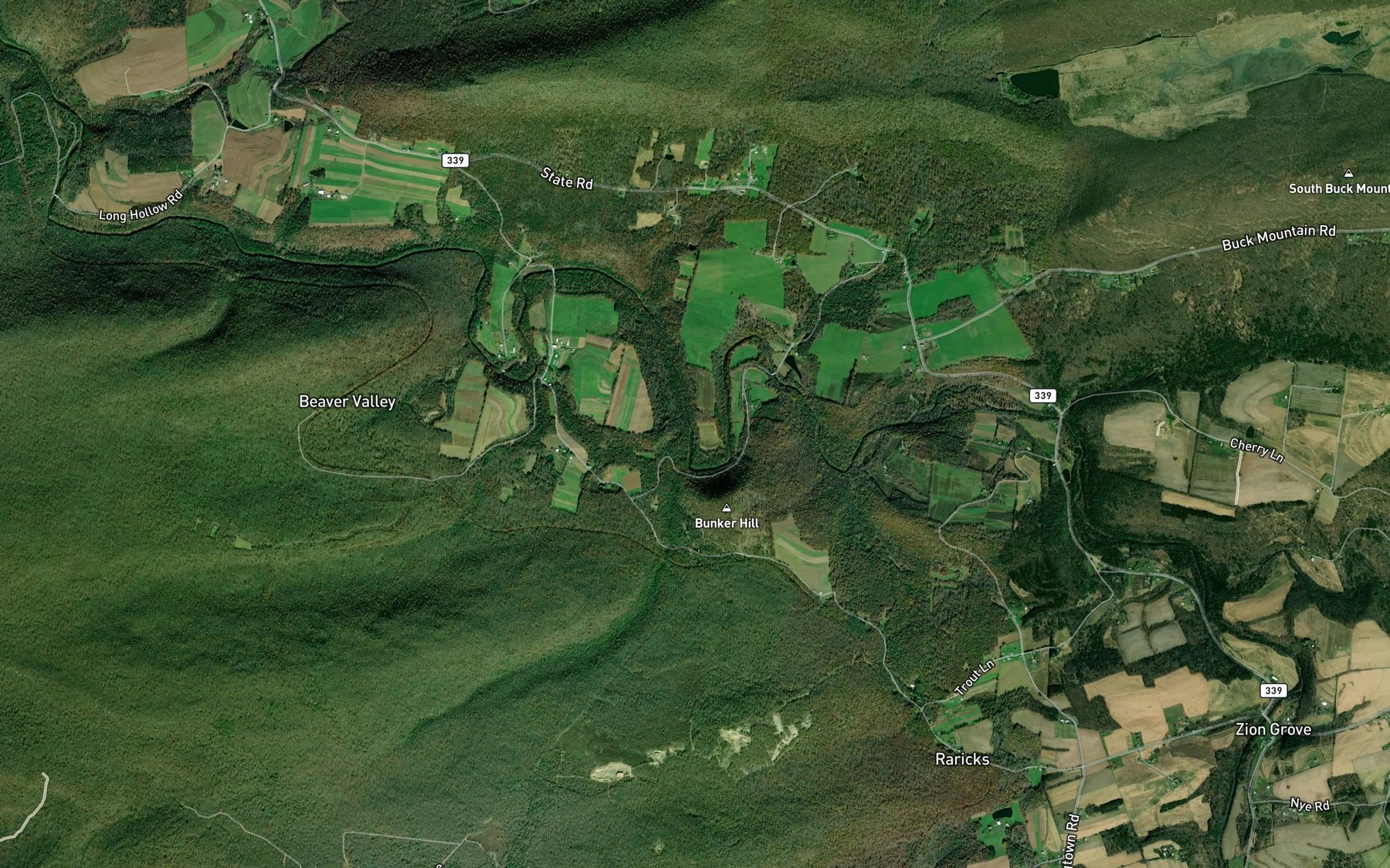 Satellite map of the Cranberry Run