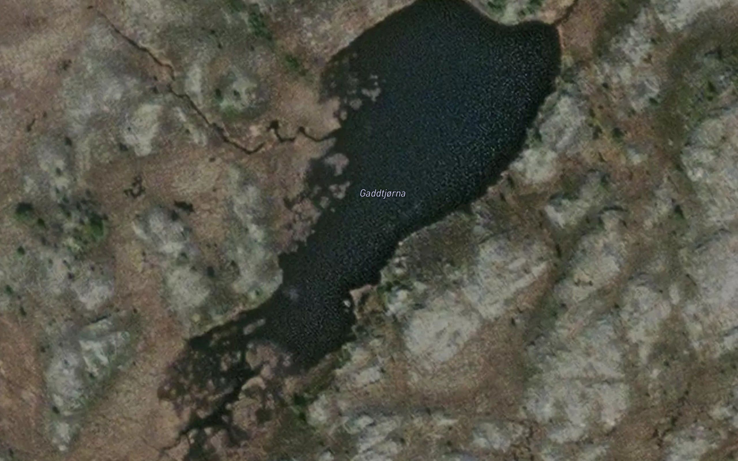 Gaddtjornan
