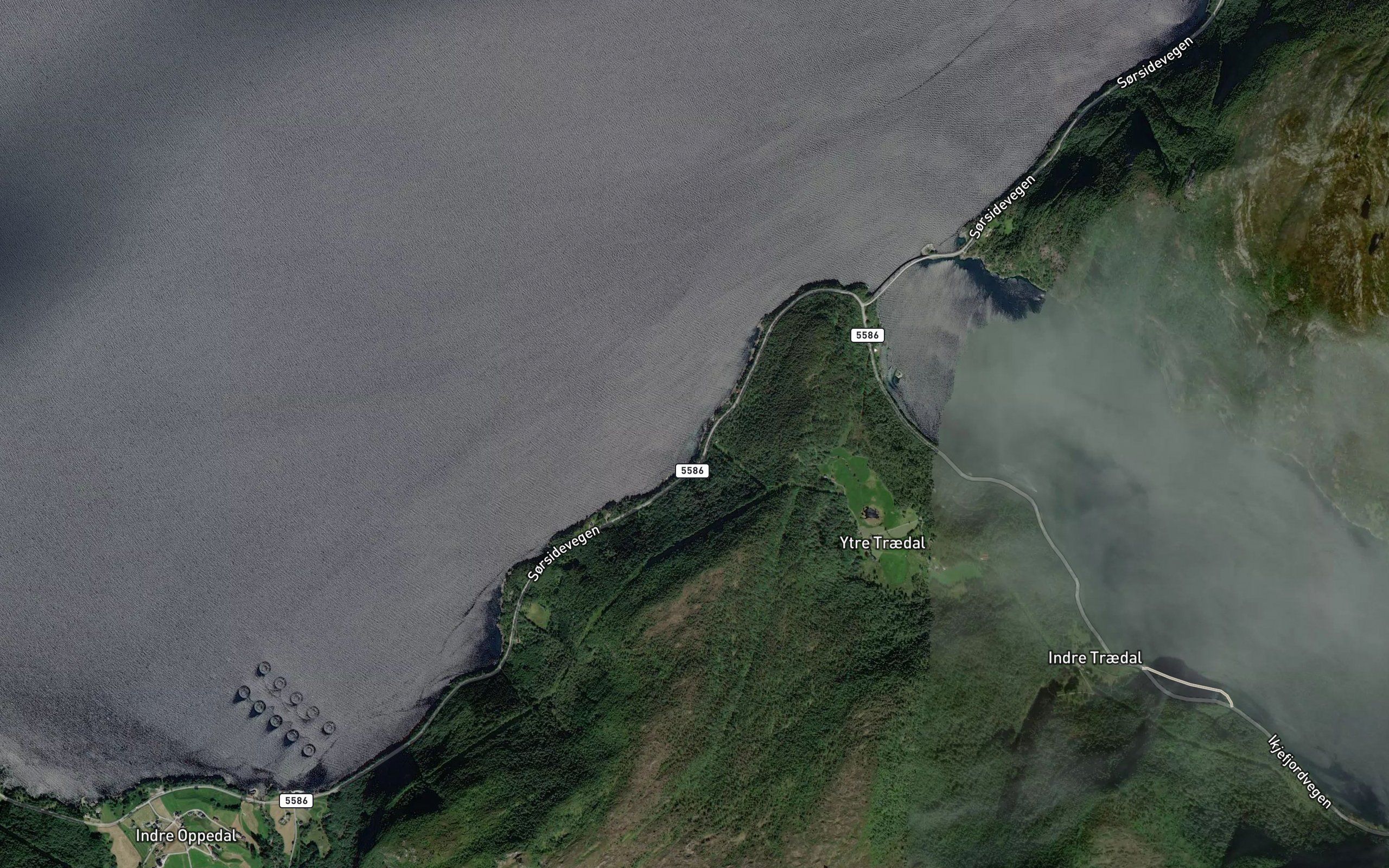 Selsvika