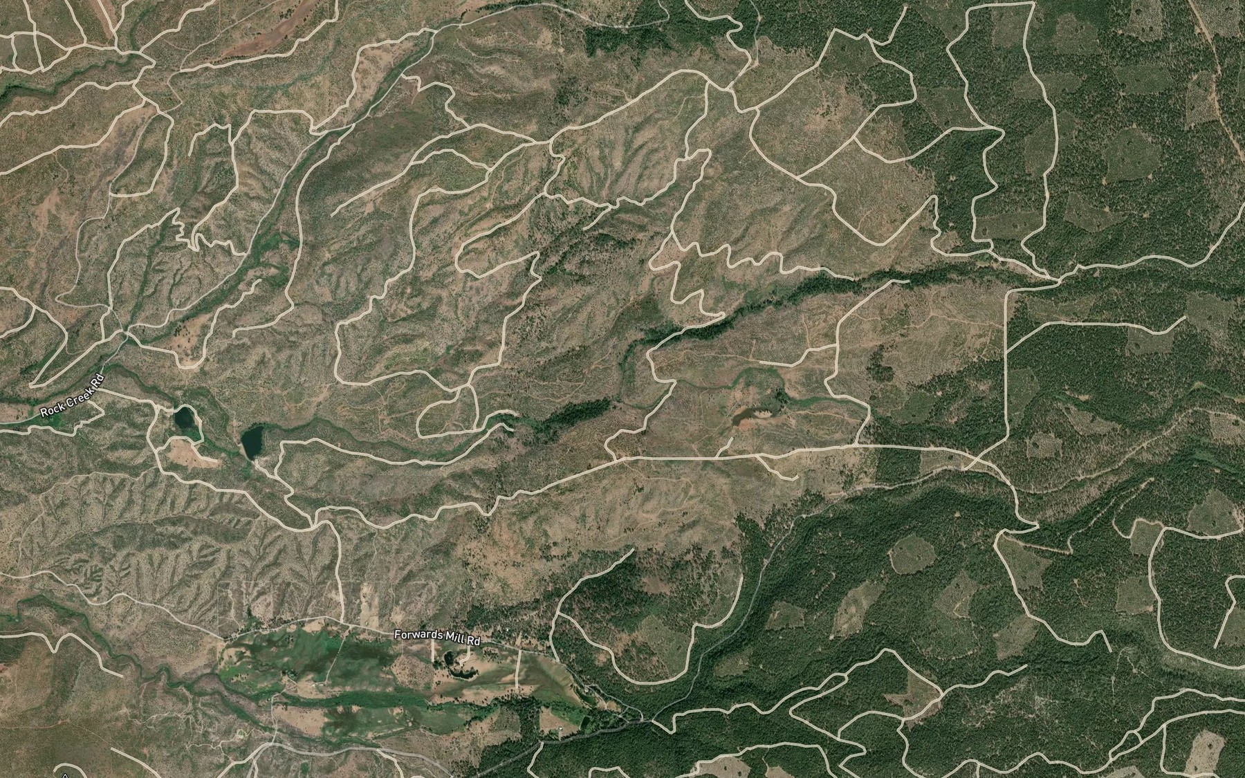 Satellite map of the Onion Creek