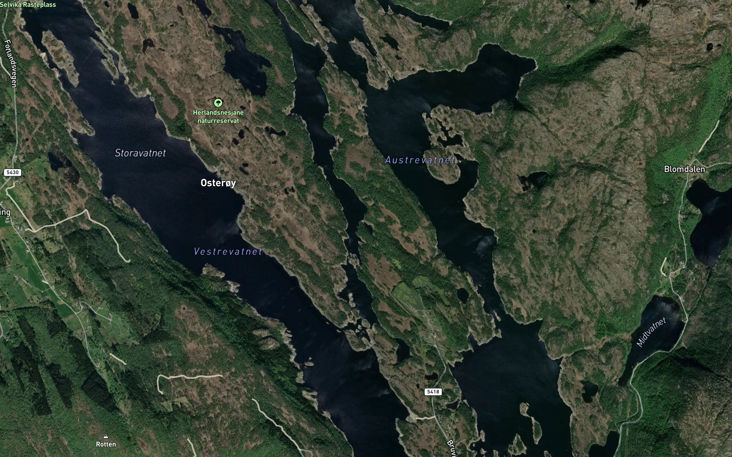 Gronevik