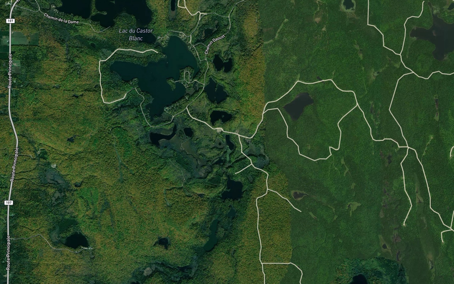 Satellite map of the Lac John