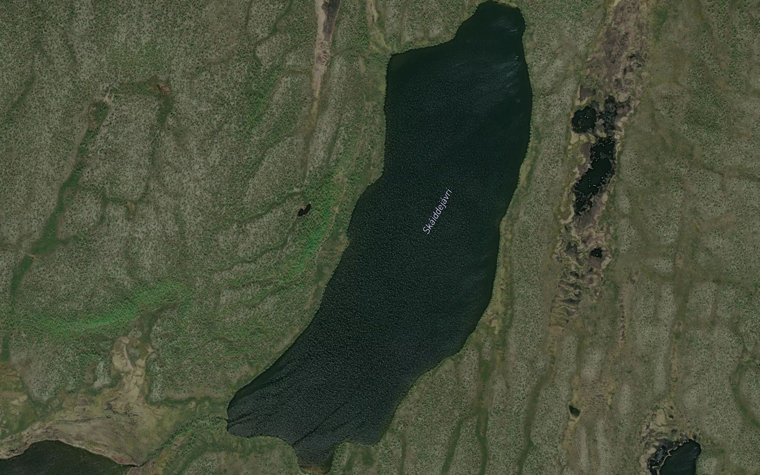 Skaidejavri