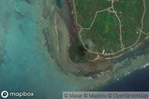 Qanooth Mangrove Swamp