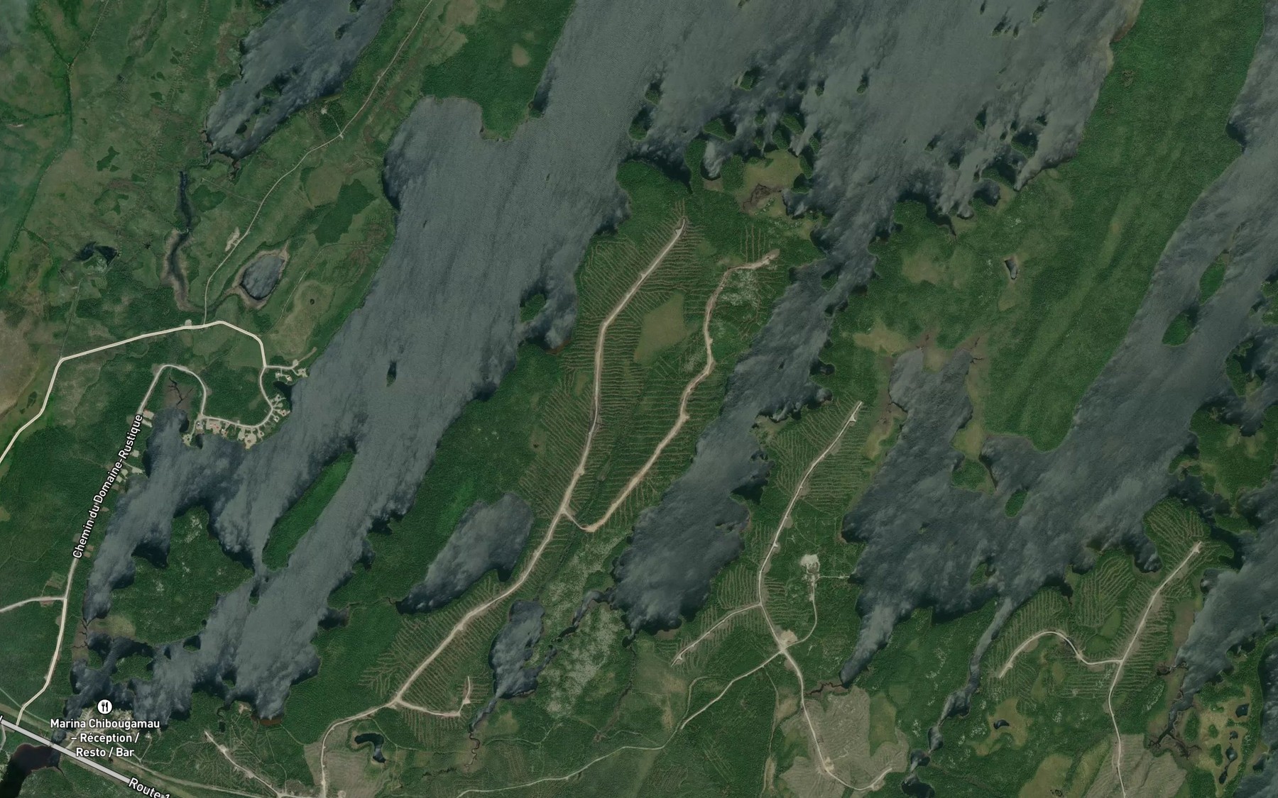 Satellite map of the Baie Dulieux