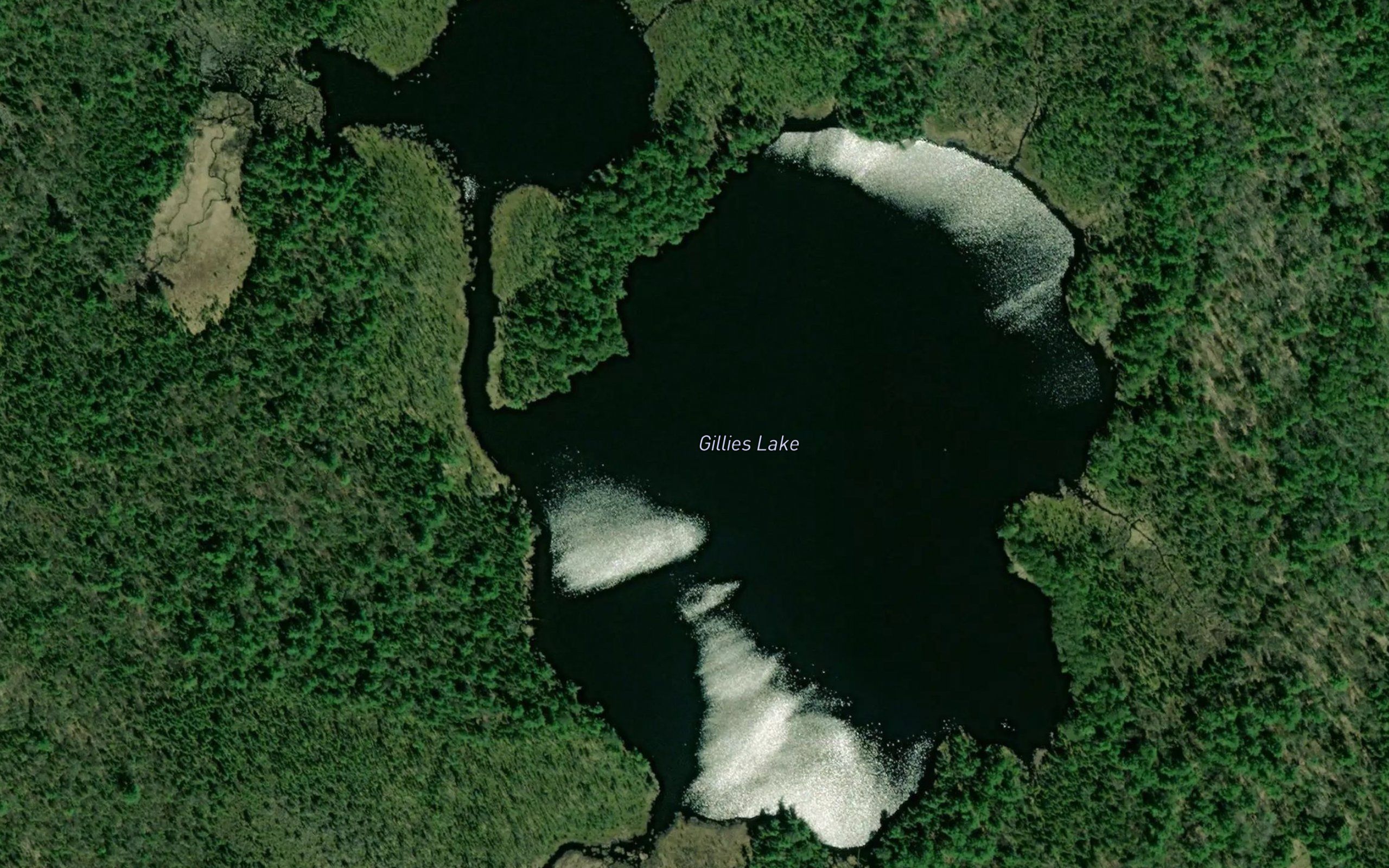 Gillies Lake