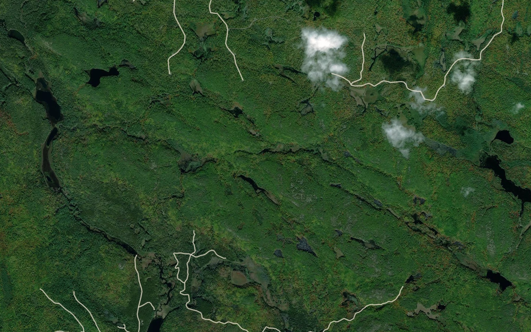 Satellite map of the McDonalds Pond