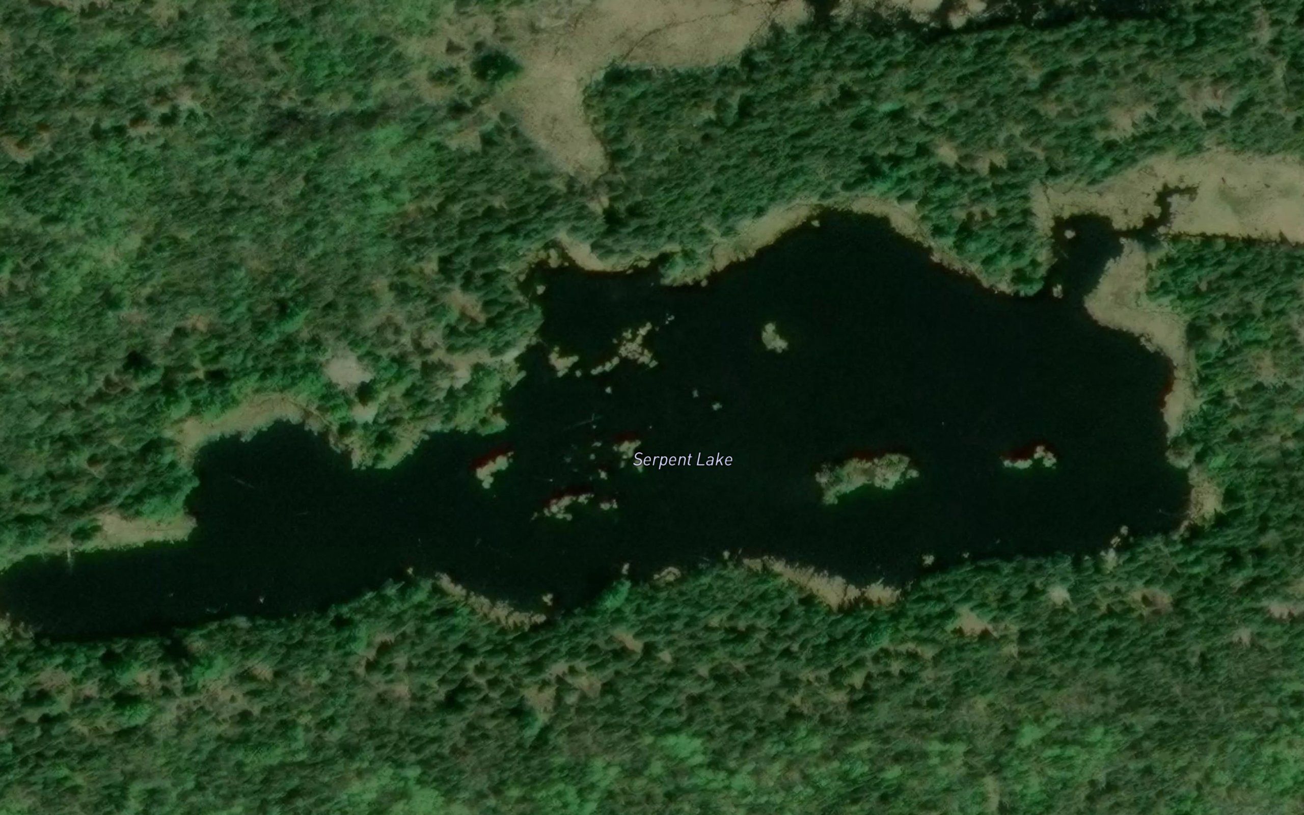 Serpent Lake